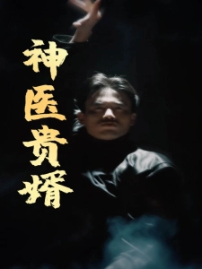 短剧神医贵婿海报