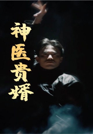 短剧神医贵婿海报