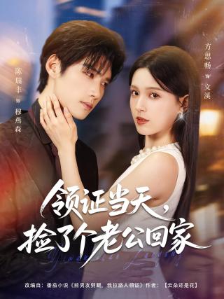 领证当天，捡了个老公回家