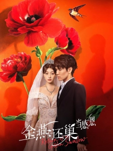 短剧金燕还巢当感恩海报