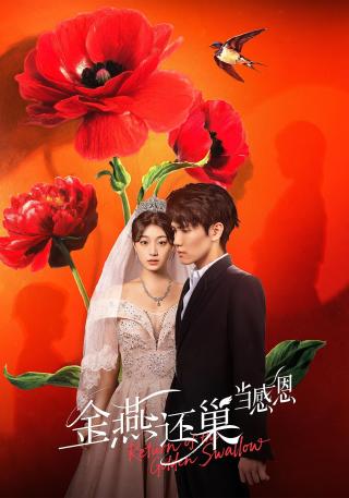 短剧金燕还巢当感恩海报