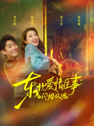 短剧东北爱情往事：闪婚玫瑰海报