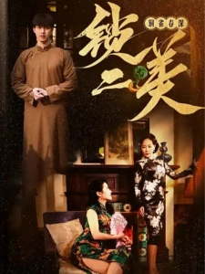 短剧铜雀春深锁二美海报