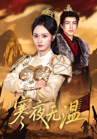 短剧寒夜无温海报