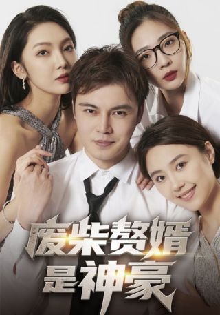 短剧废柴赘婿是神豪海报