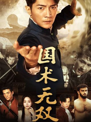 短剧国术无双海报