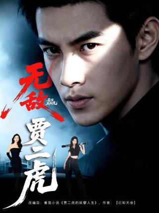 短剧无敌贾二虎海报