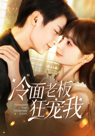 短剧冷面老板狂宠我海报