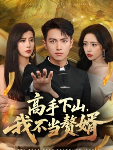 短剧高手下山，我不当赘婿海报
