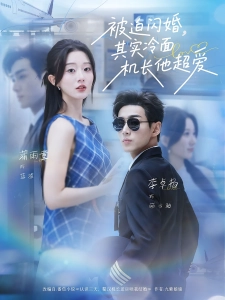 短剧被迫闪婚，其实冷面机长他超爱海报