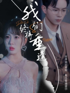 短剧我们终将重逢海报