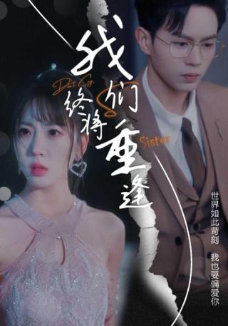 短剧我们终将重逢海报