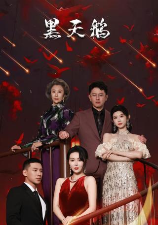 短剧黑天鹅海报