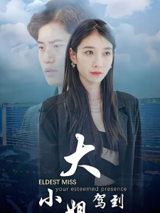 短剧大小姐驾到海报