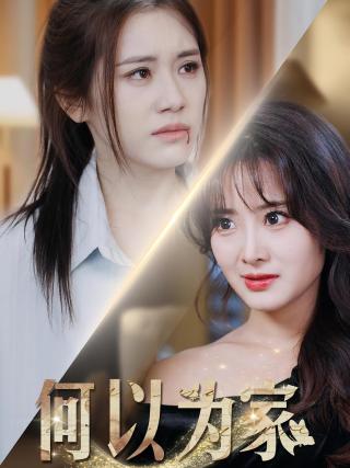 短剧何以为家海报