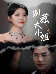 短剧别惹大小姐海报