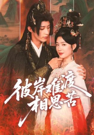 短剧彼岸难渡相思苦海报