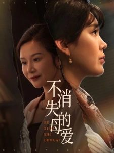 短剧不消失的母爱海报