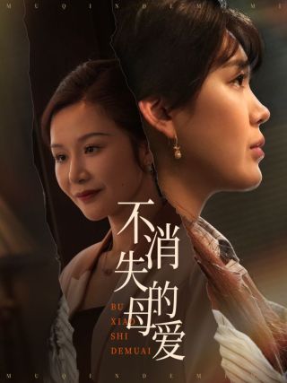 短剧不消失的母爱海报