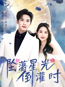 短剧坠落星光倒灌时海报