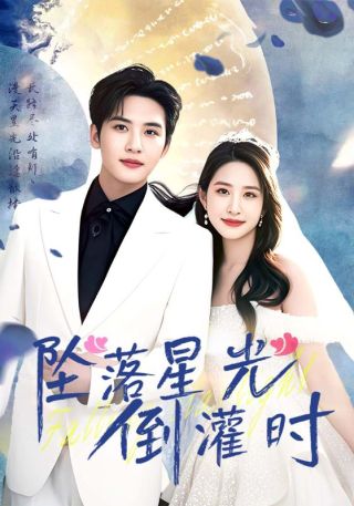 短剧坠落星光倒灌时海报