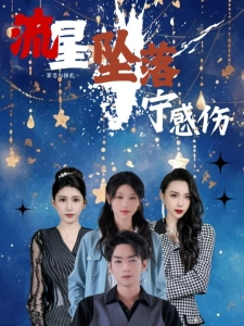 短剧流星坠落宁感伤海报