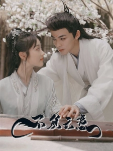 短剧不负云意海报