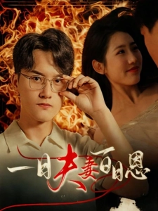 短剧一日夫妻百日恩海报