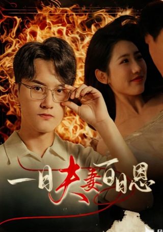 短剧一日夫妻百日恩海报