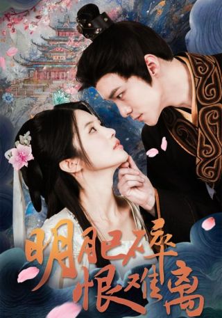 短剧明月已碎恨难离海报