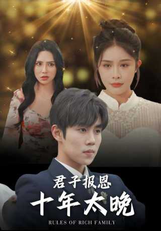 短剧君子报恩十年太晚海报