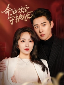 短剧命中注定守护你海报