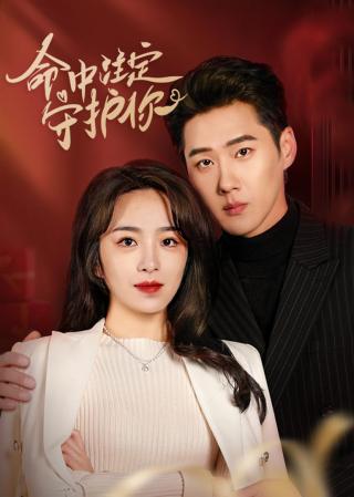 短剧命中注定守护你海报