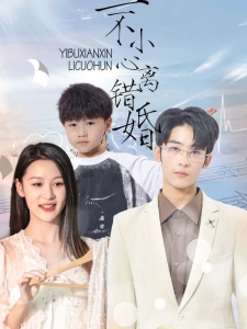 短剧一不小心离错婚海报