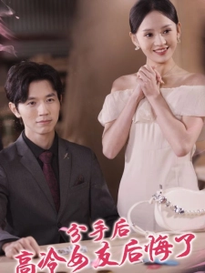 短剧分手后高冷女友后悔了海报