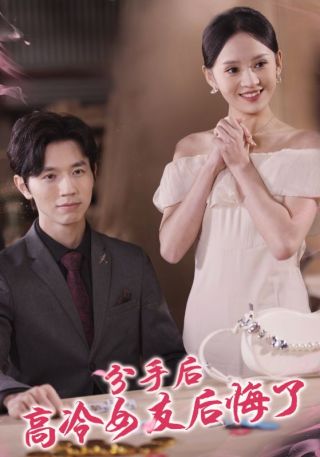 短剧分手后高冷女友后悔了海报
