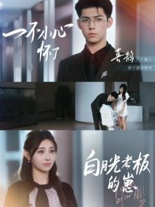 短剧一不小心怀了白月光老板的崽海报