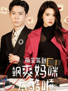 短剧萌宝驾到：飒爽妈咪太酷啦海报