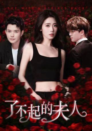 短剧了不起的夫人海报