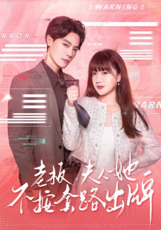 短剧老板，夫人她不按套路出牌海报