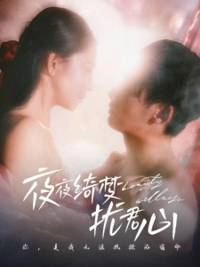 短剧夜夜绮梦扰君心海报