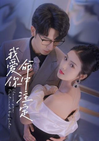 短剧我爱你命中注定海报