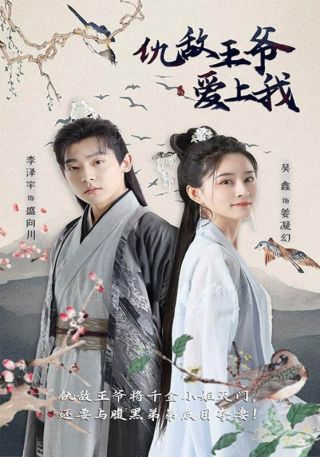 短剧仇敌王爷爱上我海报