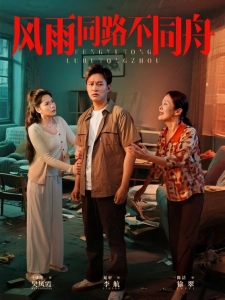 短剧风雨同路不同舟海报