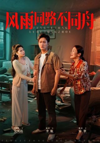 短剧风雨同路不同舟海报