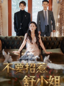 短剧不要招惹舒小姐海报