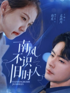 短剧南风不识旧时人海报