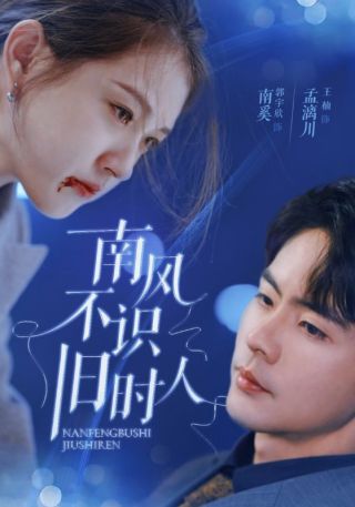 短剧南风不识旧时人海报