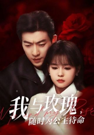 短剧我与玫瑰，随时为公主待命海报