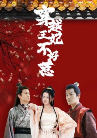 短剧穿越王妃不好惹海报